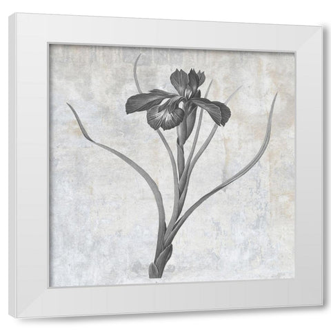 Grey Earth Balance 3 White Modern Wood Framed Art Print by Lewis, Sheldon