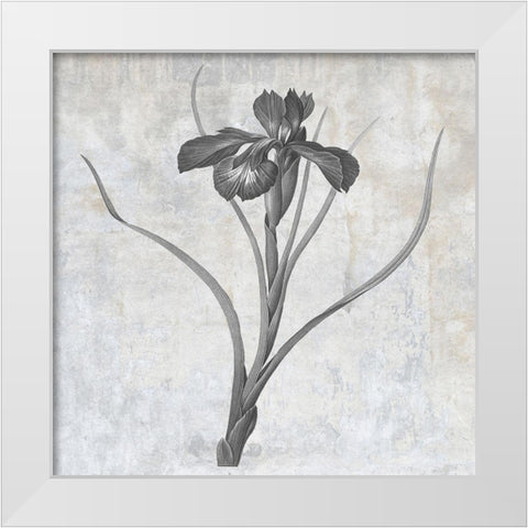 Grey Earth Balance 3 White Modern Wood Framed Art Print by Lewis, Sheldon