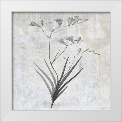 Grey Earth Balance 4 White Modern Wood Framed Art Print by Lewis, Sheldon