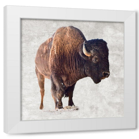 Run Wild White Modern Wood Framed Art Print by Lewis, Sheldon