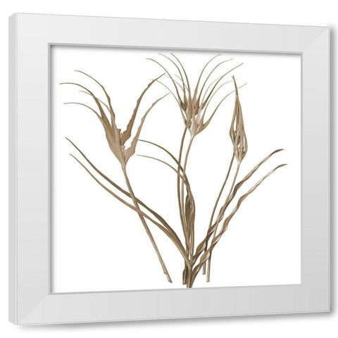 Earth Balance 1 White Modern Wood Framed Art Print by Lewis, Sheldon