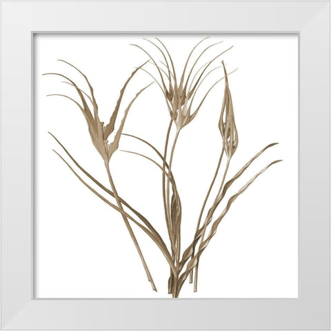 Earth Balance 1 White Modern Wood Framed Art Print by Lewis, Sheldon