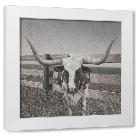 Barn Life White Modern Wood Framed Art Print by Lewis, Sheldon