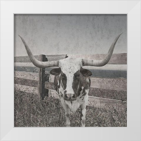 Barn Life White Modern Wood Framed Art Print by Lewis, Sheldon