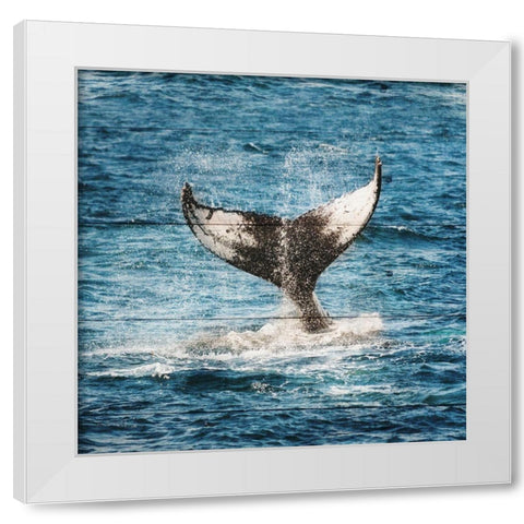 Tails of The Whale White Modern Wood Framed Art Print by Lewis, Sheldon