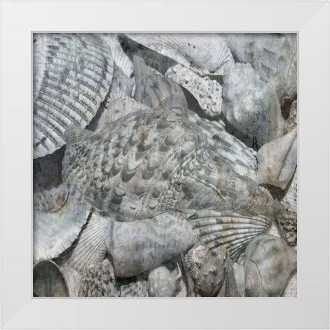 Shelly Coast White Modern Wood Framed Art Print by Lewis, Sheldon