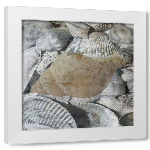 Shelly Coast 2 White Modern Wood Framed Art Print by Lewis, Sheldon