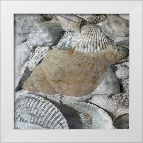 Shelly Coast 2 White Modern Wood Framed Art Print by Lewis, Sheldon