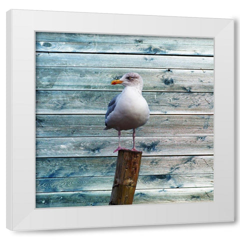 Ba Bird White Modern Wood Framed Art Print by Lewis, Sheldon