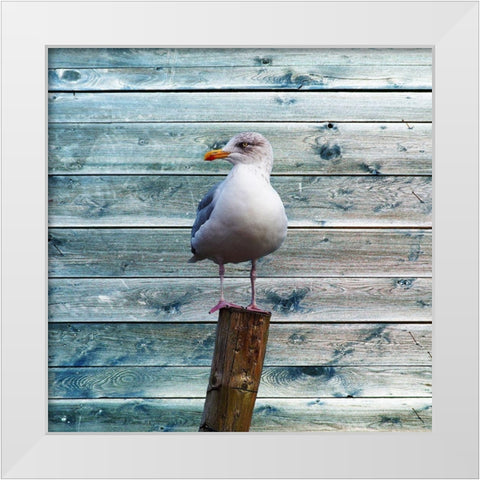 Ba Bird White Modern Wood Framed Art Print by Lewis, Sheldon