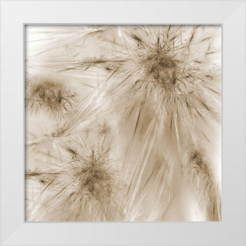 Twister White Modern Wood Framed Art Print by Lewis, Sheldon