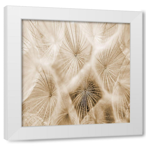 Twister 2 White Modern Wood Framed Art Print by Lewis, Sheldon