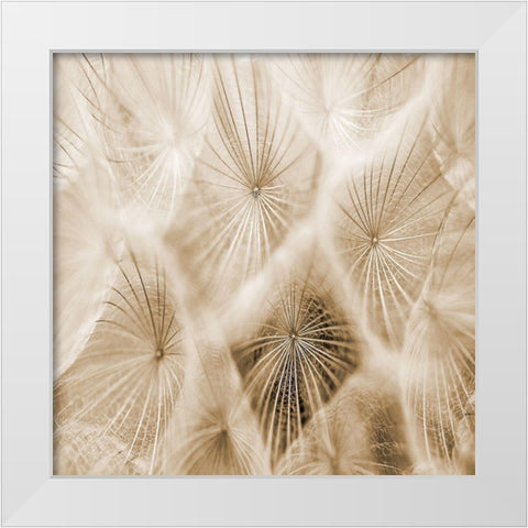 Twister 2 White Modern Wood Framed Art Print by Lewis, Sheldon