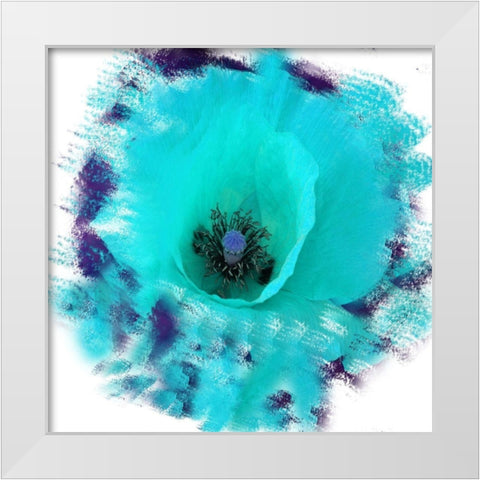 Rose Garden White Modern Wood Framed Art Print by Lewis, Sheldon