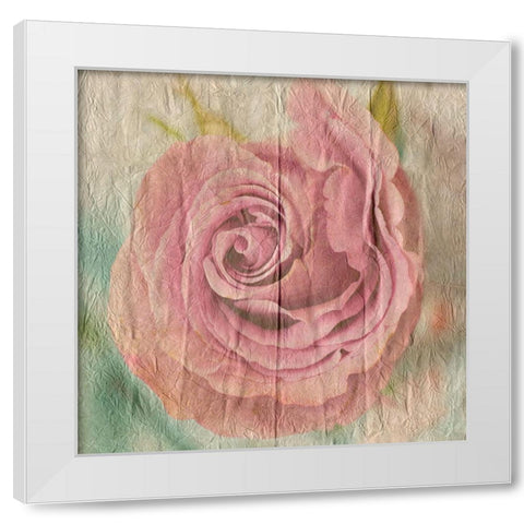 Vintage Rose White Modern Wood Framed Art Print by Lewis, Sheldon
