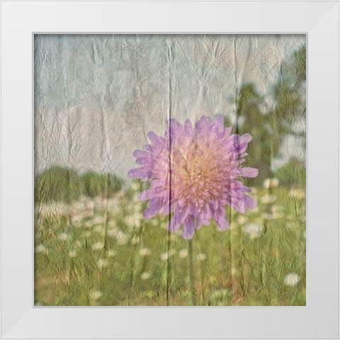 Vintage Bloom 2 White Modern Wood Framed Art Print by Lewis, Sheldon