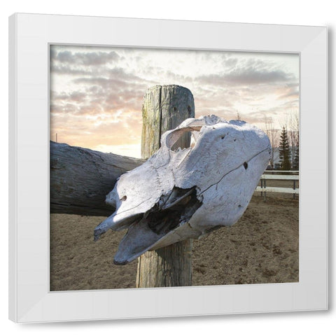 Rancher White Modern Wood Framed Art Print by Lewis, Sheldon