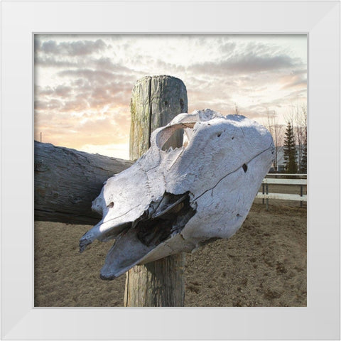 Rancher White Modern Wood Framed Art Print by Lewis, Sheldon