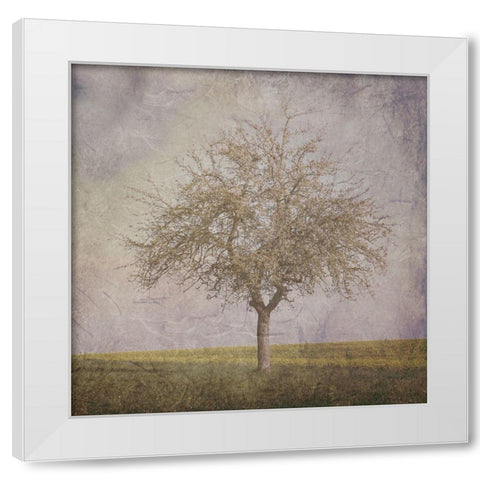 Open Field 2 White Modern Wood Framed Art Print by Lewis, Sheldon