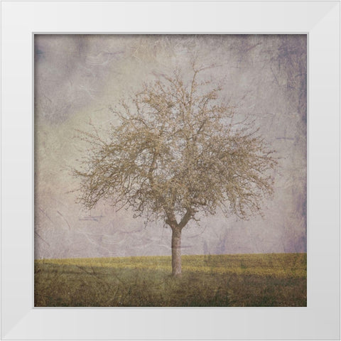 Open Field 2 White Modern Wood Framed Art Print by Lewis, Sheldon