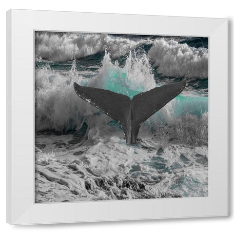 Caribbean Coast White Modern Wood Framed Art Print by Lewis, Sheldon