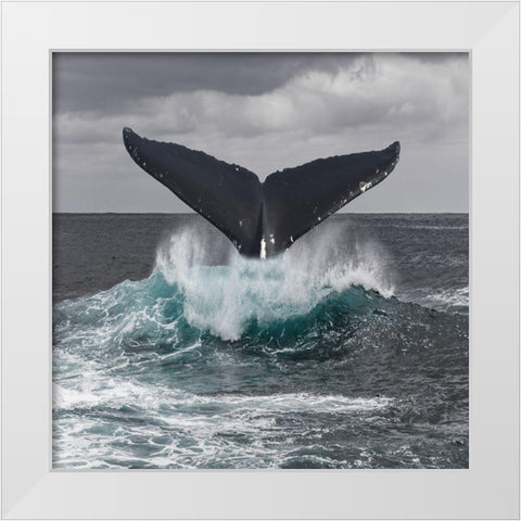 St Vincent Coast White Modern Wood Framed Art Print by Lewis, Sheldon