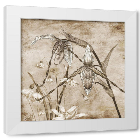 Earth Balance White Modern Wood Framed Art Print by Lewis, Sheldon