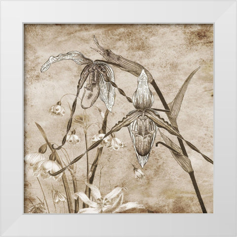 Earth Balance White Modern Wood Framed Art Print by Lewis, Sheldon