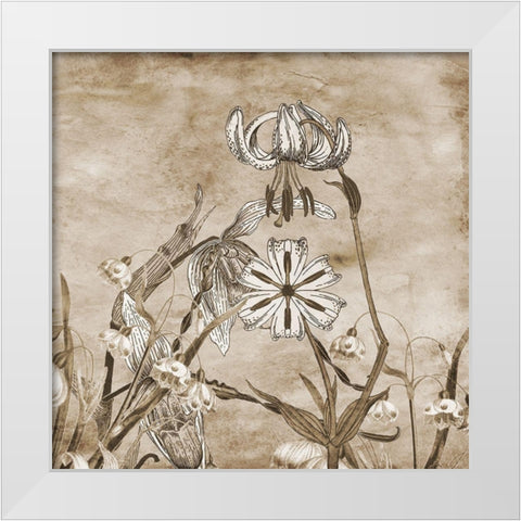 Earth Balance 2 White Modern Wood Framed Art Print by Lewis, Sheldon