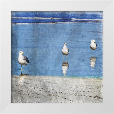 Three Is Company White Modern Wood Framed Art Print by Lewis, Sheldon