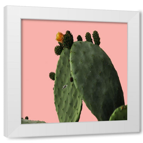 Cochoneal White Modern Wood Framed Art Print by Lewis, Sheldon