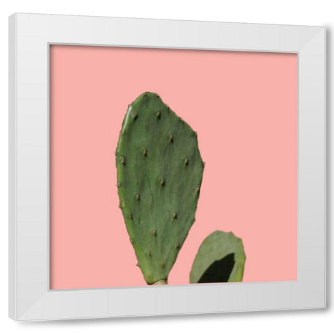 Cochol White Modern Wood Framed Art Print by Lewis, Sheldon