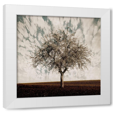 Evening Calm White Modern Wood Framed Art Print by Lewis, Sheldon