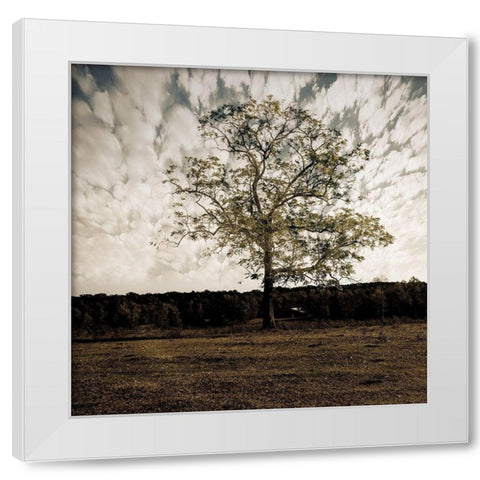 Evening Calm 2 White Modern Wood Framed Art Print by Lewis, Sheldon
