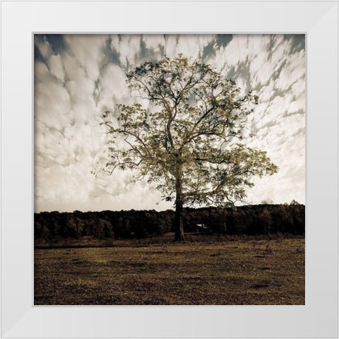 Evening Calm 2 White Modern Wood Framed Art Print by Lewis, Sheldon