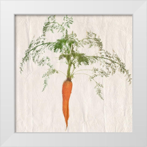 Carrot White Modern Wood Framed Art Print by Lewis, Sheldon