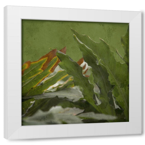 Botanical Garden White Modern Wood Framed Art Print by Lewis, Sheldon