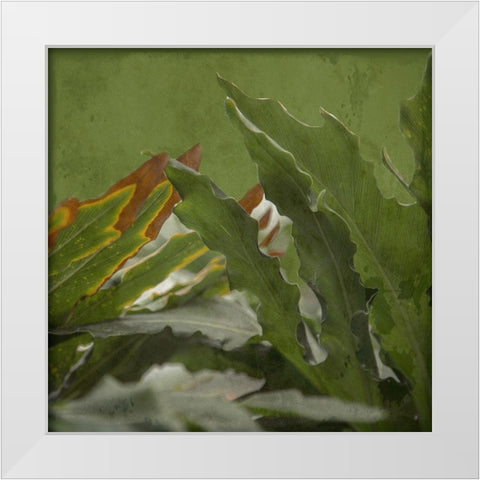 Botanical Garden White Modern Wood Framed Art Print by Lewis, Sheldon