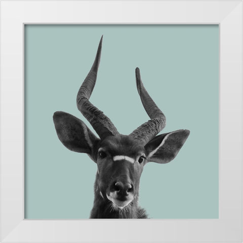 Heads Up White Modern Wood Framed Art Print by Lewis, Sheldon