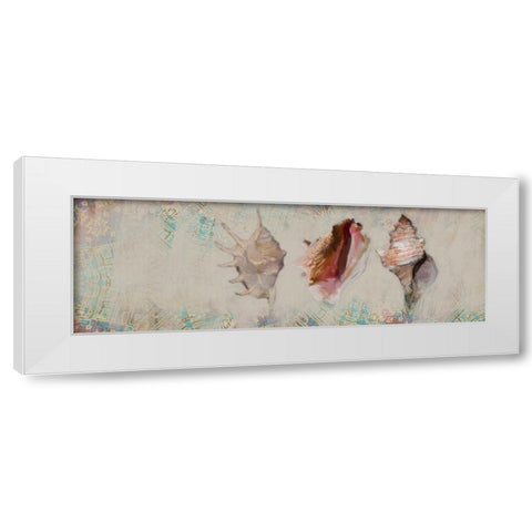 Shells White Modern Wood Framed Art Print by Butcher, Sarah