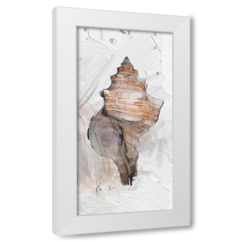 Shells Around The World 1 White Modern Wood Framed Art Print by Butcher, Sarah