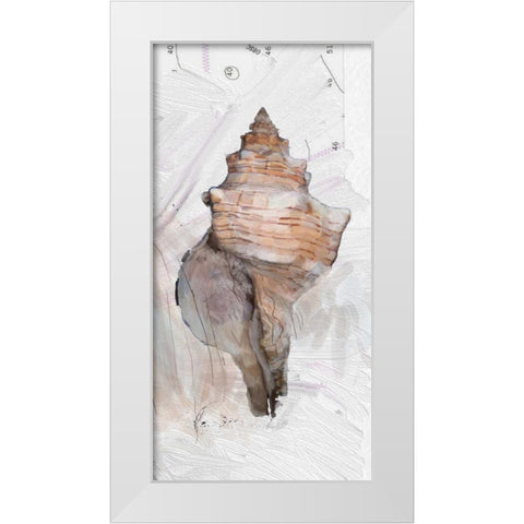 Shells Around The World 1 White Modern Wood Framed Art Print by Butcher, Sarah