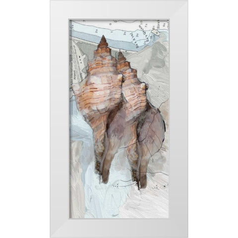 Shells Around The World 2 White Modern Wood Framed Art Print by Butcher, Sarah