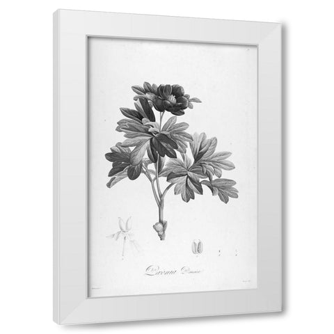 Botanical Eclipse 1 White Modern Wood Framed Art Print by Carlson, Tina