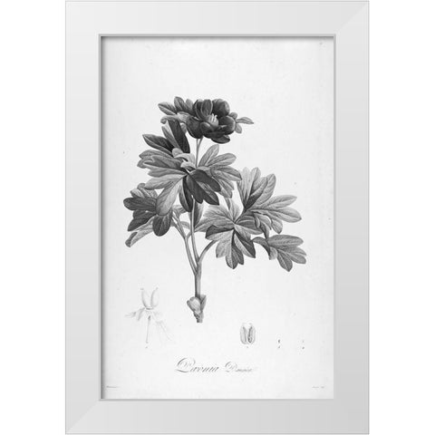Botanical Eclipse 1 White Modern Wood Framed Art Print by Carlson, Tina