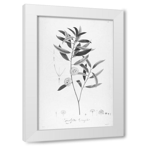 Botanical Eclipse 2 White Modern Wood Framed Art Print by Carlson, Tina