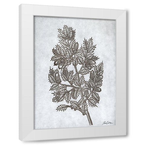 Oak Tree 3 White Modern Wood Framed Art Print by Carlson, Tina
