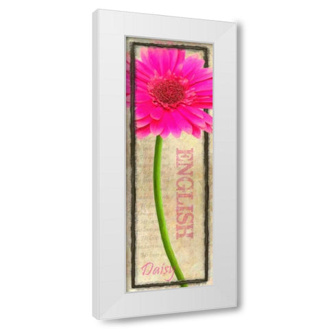 ENGLISH DAISY White Modern Wood Framed Art Print by Greene, Taylor