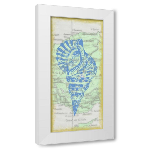 Shell White Modern Wood Framed Art Print by Greene, Taylor