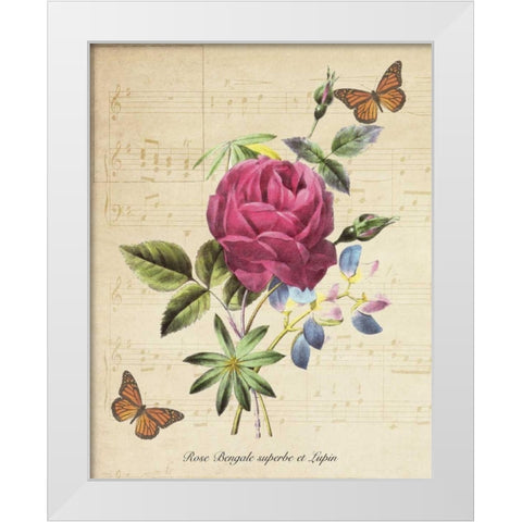 Rose Superb A White Modern Wood Framed Art Print by Greene, Taylor